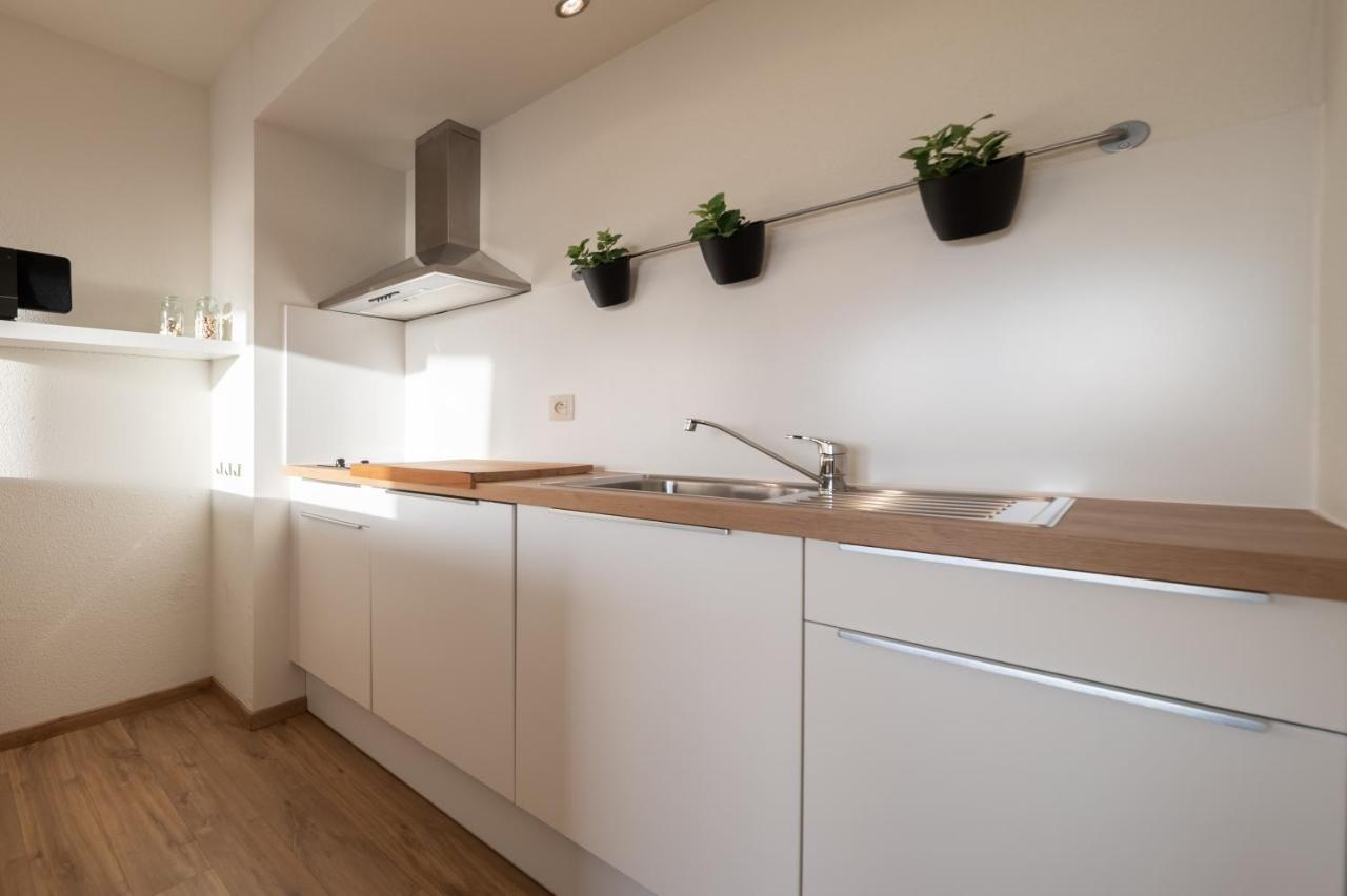 Vakantiestudio De Zeeparel 德帕内 外观 照片