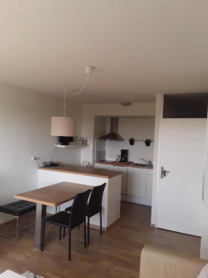 Vakantiestudio De Zeeparel 德帕内 外观 照片